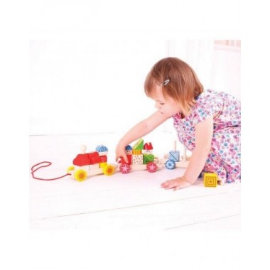 Bigjigs medinis lavinamasis traukinukas - Mediniai lavinamieji žaislai