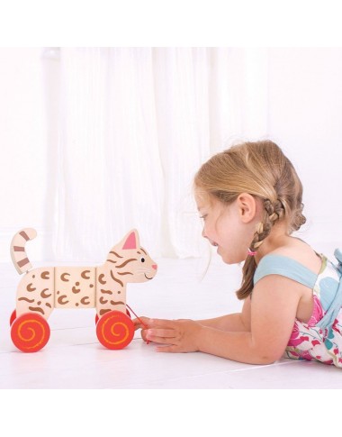 Bigjigs medinis traukiamas Kačiukas - Mediniai žaislai