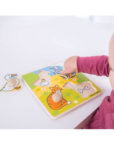 Bigjigs medinė formų dėlionė - Lavinamosios medinės dėlionės vaikams