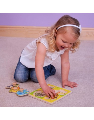 Bigjigs medinė formų dėlionė - Lavinamosios medinės dėlionės vaikams