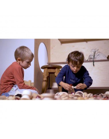 Milaniwood rinkinys Surprise - Priemonės edukacinėms veikloms