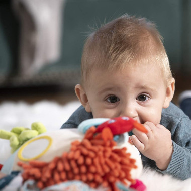 Miniland lavinamasis žaislas kūdikiams Sensoriniai Rifai - Lavinamieji žaislai kūdikiams