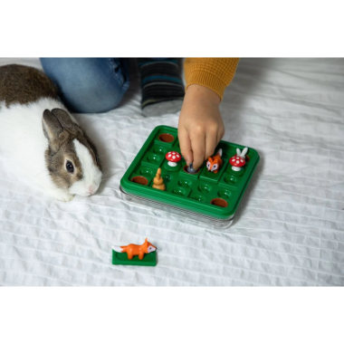 Loginis lavinamasis žaidimas - Lavinamieji žaidimai vaikams