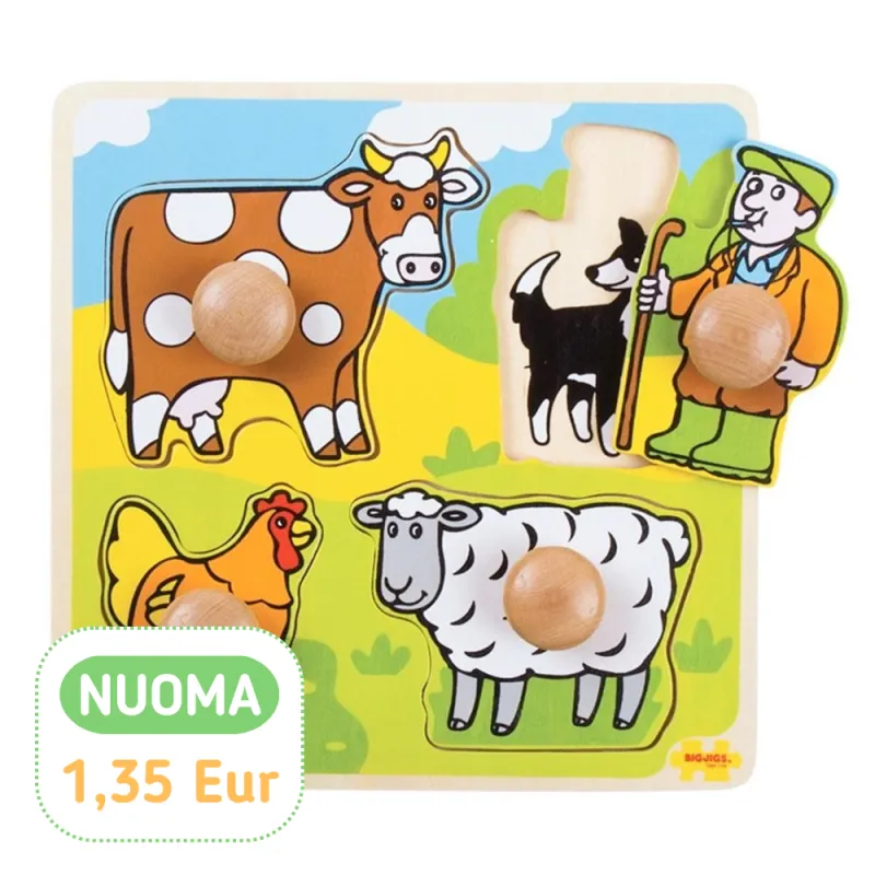 Bigjigs medinė formų dėlionė - Lavinamosios medinės dėlionės vaikams