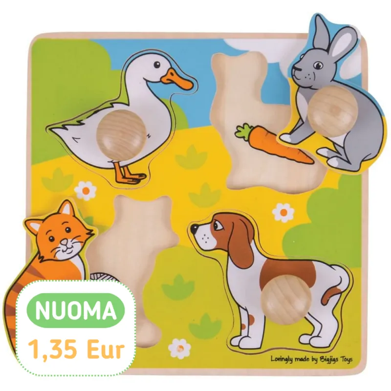 Bigjigs medinė formų dėlionė - Lavinamosios medinės dėlionės vaikams