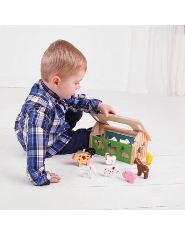Bigjigs koka figūru šķirotājs - Koka rotaļlietas - Lapute.lt