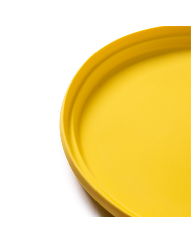 Bigjigs silikoninė skraidanti lėkštė - Lauko žaislai vaikams