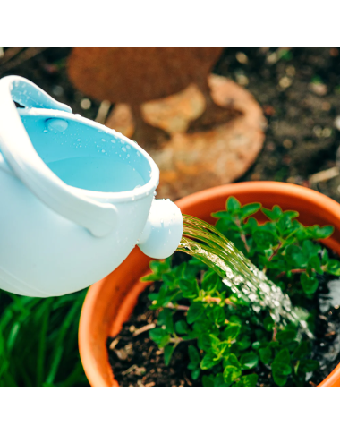 Bigjigs silikoninis vandens laistytuvas - Silikoniniai smėlio žaislai vaikams Bigjigs silikoninis vandens laistytuvas - Silikoniniai smėlio žaislai vaikams