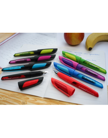 Stabilo plunksnakotis EASYbuddy M, rausvas - Plunksnakočiai pradinukams