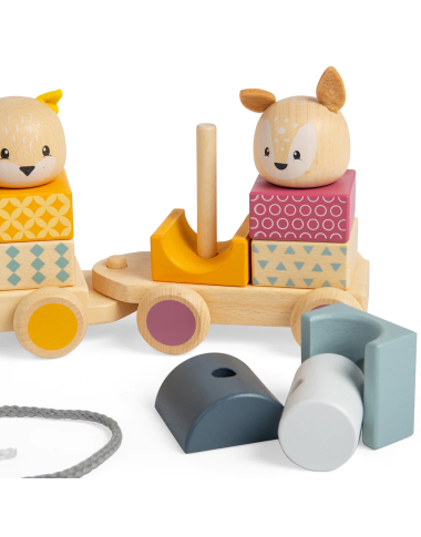 Bigjigs medinis lavinamasis traukinukas - Mediniai lavinamieji žaislai