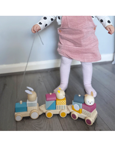 Bigjigs medinis lavinamasis traukinukas - Mediniai lavinamieji žaislai