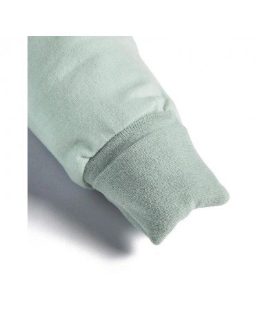 ergoPouch miegmaišis 2.5TOG (2-4 metai)