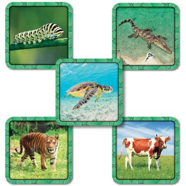 Stalo žaidimas Specific - Stalo žaidimai vaikams nuo 5 metų