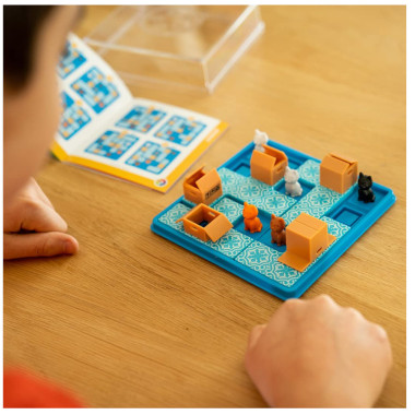 Loginis žaidimas Cats & Boxes - Lavinamieji žaidimai vaikams