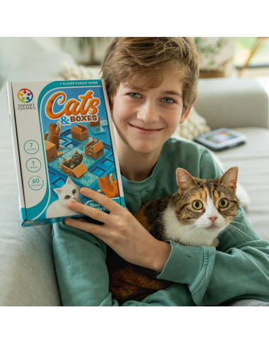 Loginis žaidimas Cats & Boxes - Lavinamieji žaidimai vaikams
