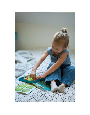 Loginis žaidimas Turtle Tactics - Lavinamieji žaidimai vaikams