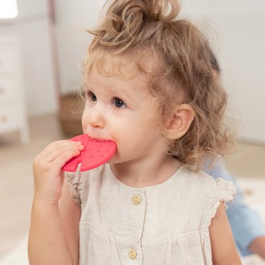 Miniland sensorinis kaktusas - Lavinamieji žaislai vaikams nuo 6 mėnesių