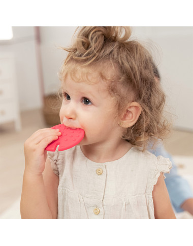 Miniland sensorinis kaktusas - Lavinamieji žaislai vaikams nuo 6 mėnesių