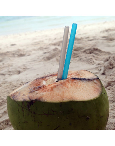 Fommi daugkartiniai silikoniniai šiaudeliai - 2 vnt. ir šepetėlis