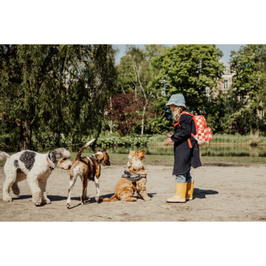 Mergaitė žaidžia su šunimis ir dėvi Pick & Pack kuprinę pradinukams Raudoni langeliai, M