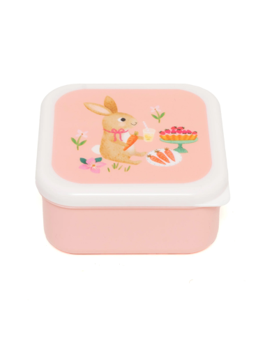 Užkandžių dėžučių rinkinys Gyvūnų piknikas