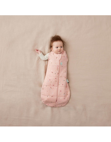 ergoPouch Swaddle miegmaišis kūdikiui 2.5TOG (6-12 mėn.)