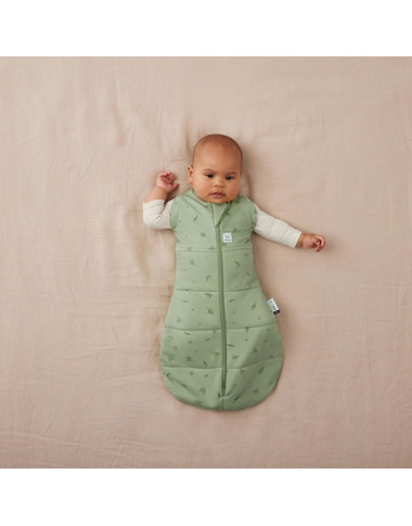 ergoPouch Swaddle miegmaišis kūdikiui 2.5TOG (6-12 mėn.) iš priekio