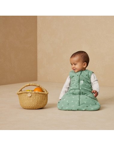 ergoPouch bērnu guļammaiss - Bērnu guļammaisi - Lapute.lt