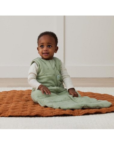 ergoPouch Swaddle miegmaišis 2.5TOG (3-12 mėn.) ergoPouch Swaddle miegmaišis 2.5TOG (3-12 mėn.)