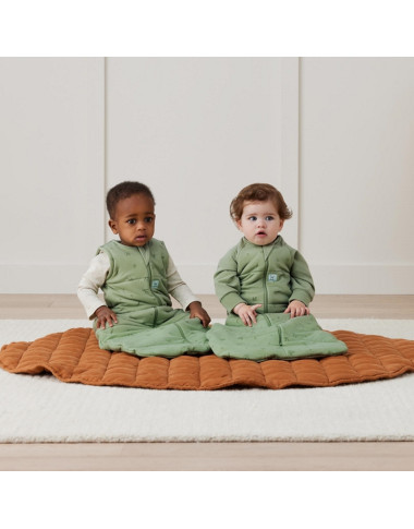 ergoPouch Pārsega guļammaiss 2,5TOG (3-12 mēneši)