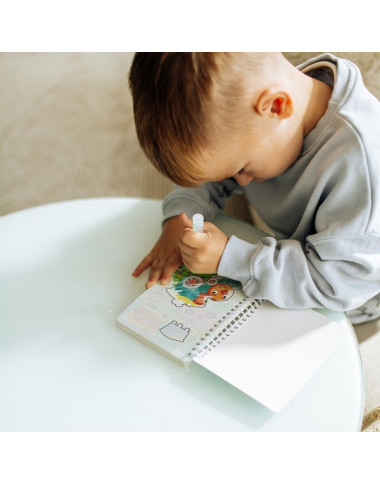 Dodo spalvinimo vandeniu knygutė Transportas pakuotėje