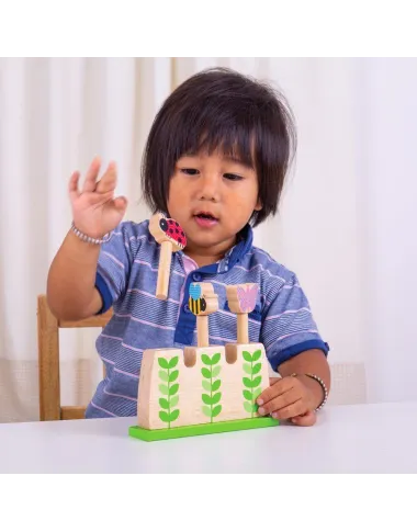 Bigjigs iššokantys vabaliukai - Žaislų nuoma