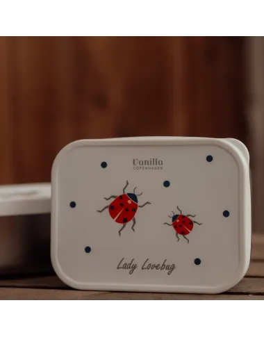 Rinkinys Boružėlių pertraukėlė