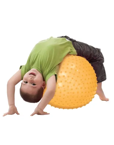 Ludi mankštos kamuolys (45 cm)