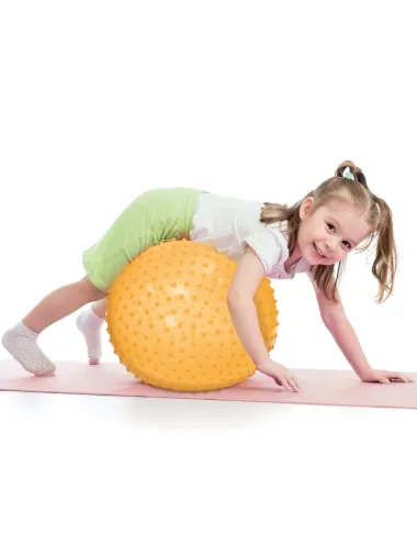 Ludi mankštos kamuolys (45 cm)