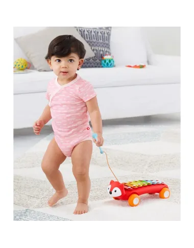 Skip Hop ksilofonas Laputė