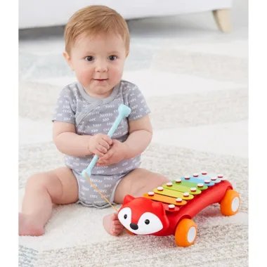 Skip Hop ksilofonas Laputė ir sėdintis berniukas