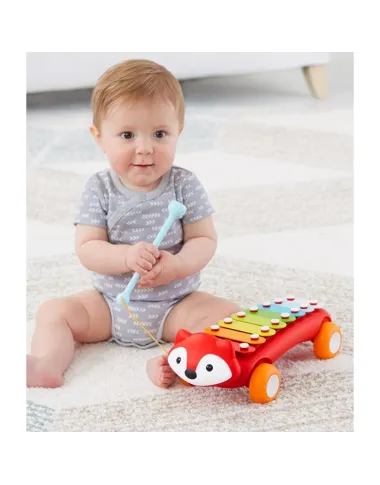 Skip Hop ksilofonas Laputė