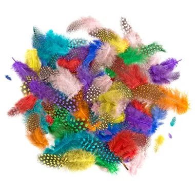 Spalvotos margos plunksnos (10 g., 4-7 cm)