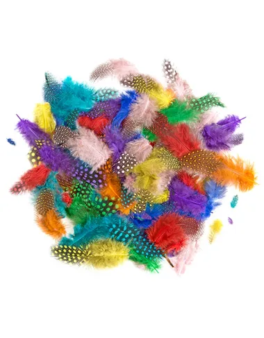 Spalvotos margos plunksnos (10 g., 4-7 cm)