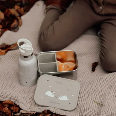 Metāla pusdienu kaste Gulbji - Lapute.lt