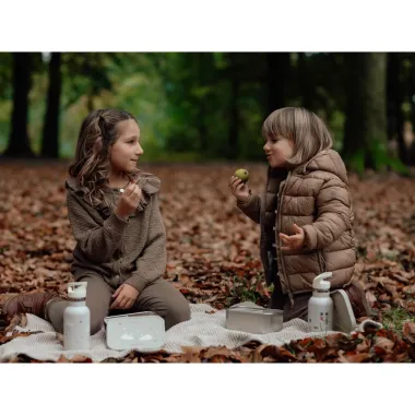 Metāla pusdienu kaste Gulbji - Lapute.lt