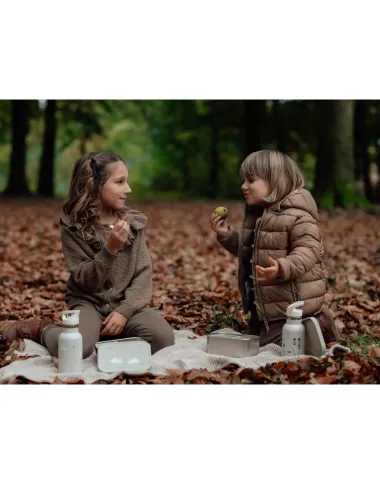 Metalinė pietų dėžutė Gulbės - vaizdas baltame fone atidarytos