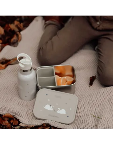 Rinkinys Gulbių pertraukėlė - vaizdas baltame fone