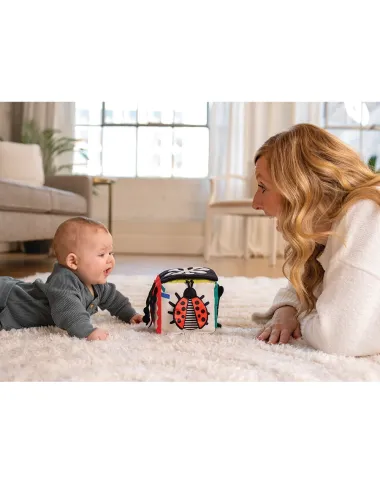 Wimmer Discovery Cube izglītojošs kubs mazuļiem