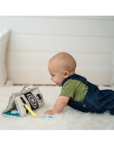 Wimmer 3-in-1 izglītojošs rotaļu paklājiņš mazuļiem