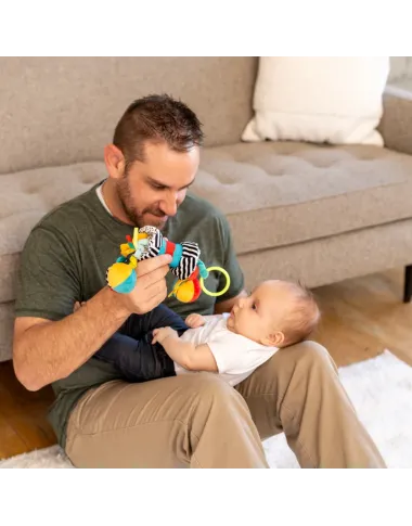 Wimmer Zaggles izglītojoša rotaļlieta mazuļiem