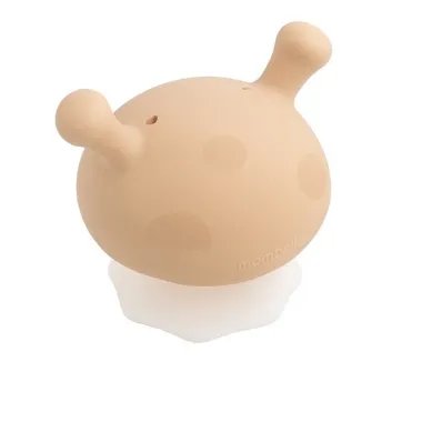 Mombella kramtukas Grybas rusvas - vaizdas iš viršaus baltame fone