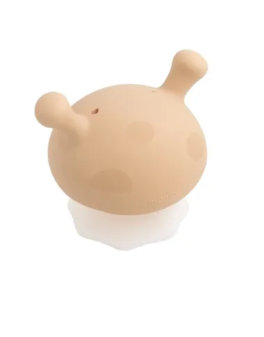 Mombella kramtukas Grybas rusvas - vaizdas baltame fone