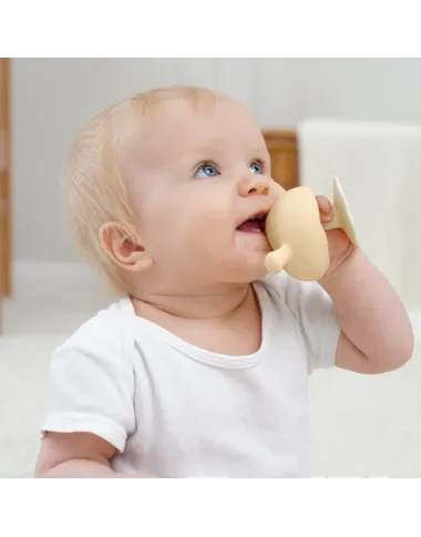 Mombella kramtukas Grybas rusvas - vaizdas baltame fone